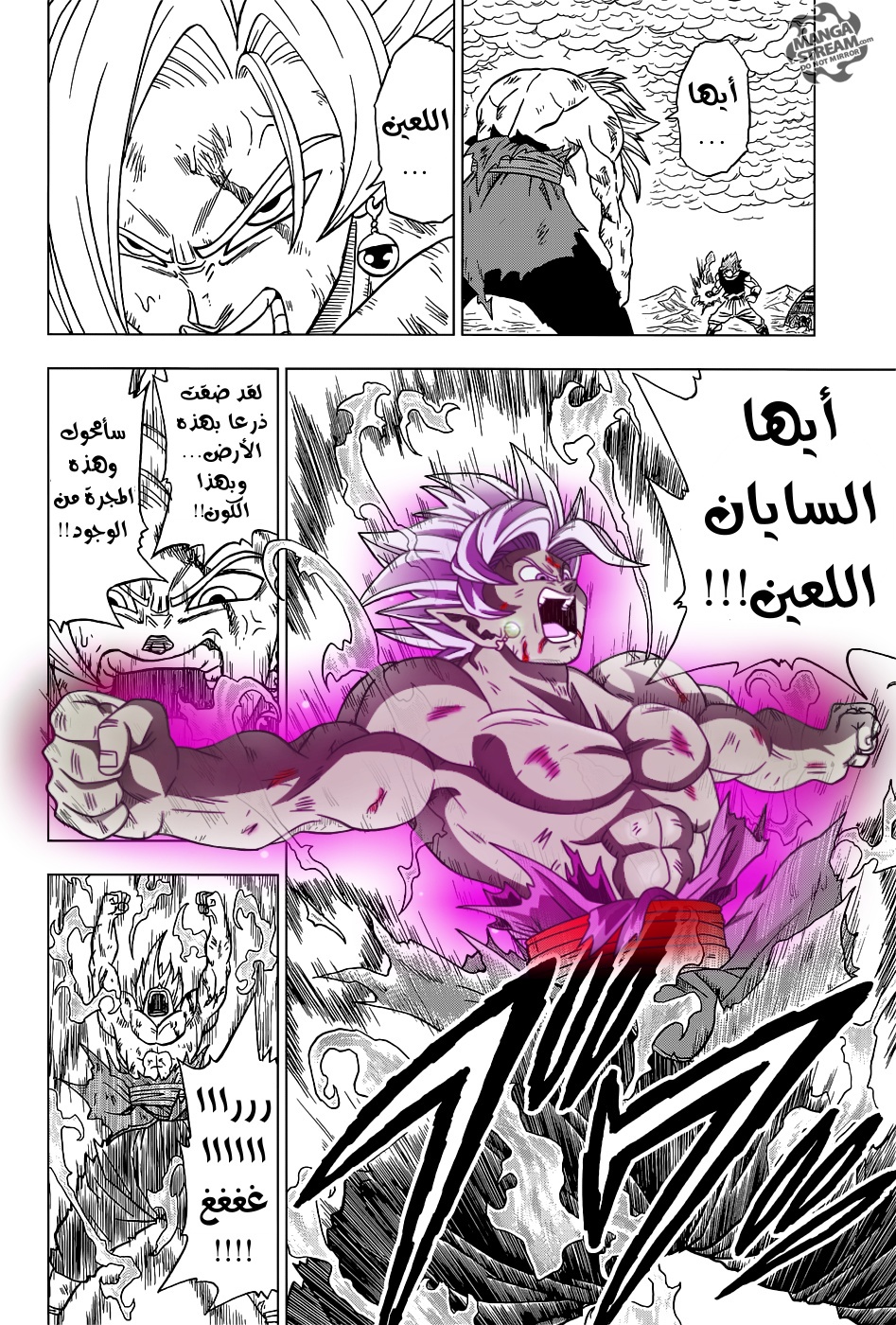 Dragon Ball Super: Chapter 25 - Page 17