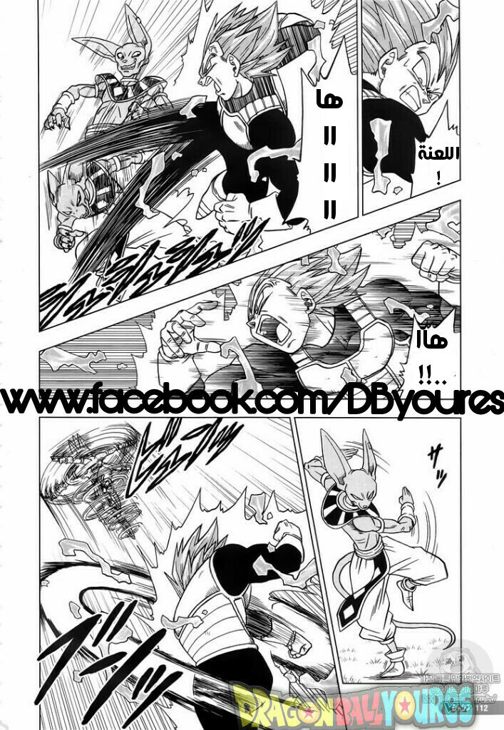 Dragon Ball Super: Chapter 27 - Page 22