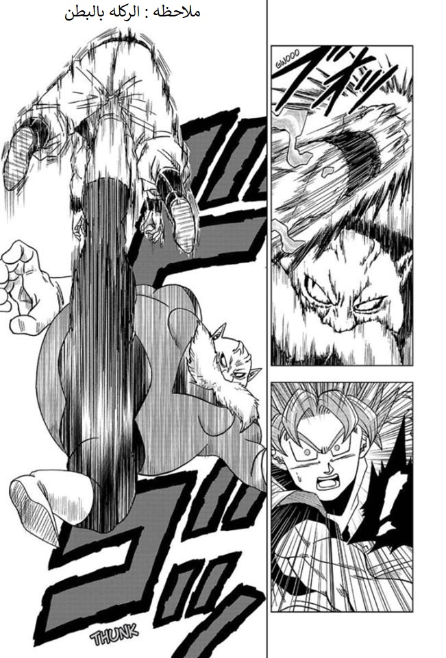 Dragon Ball Super: Chapter 29 - Page 41