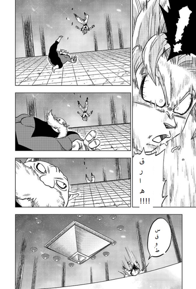 Dragon Ball Super: Chapter 29 - Page 42