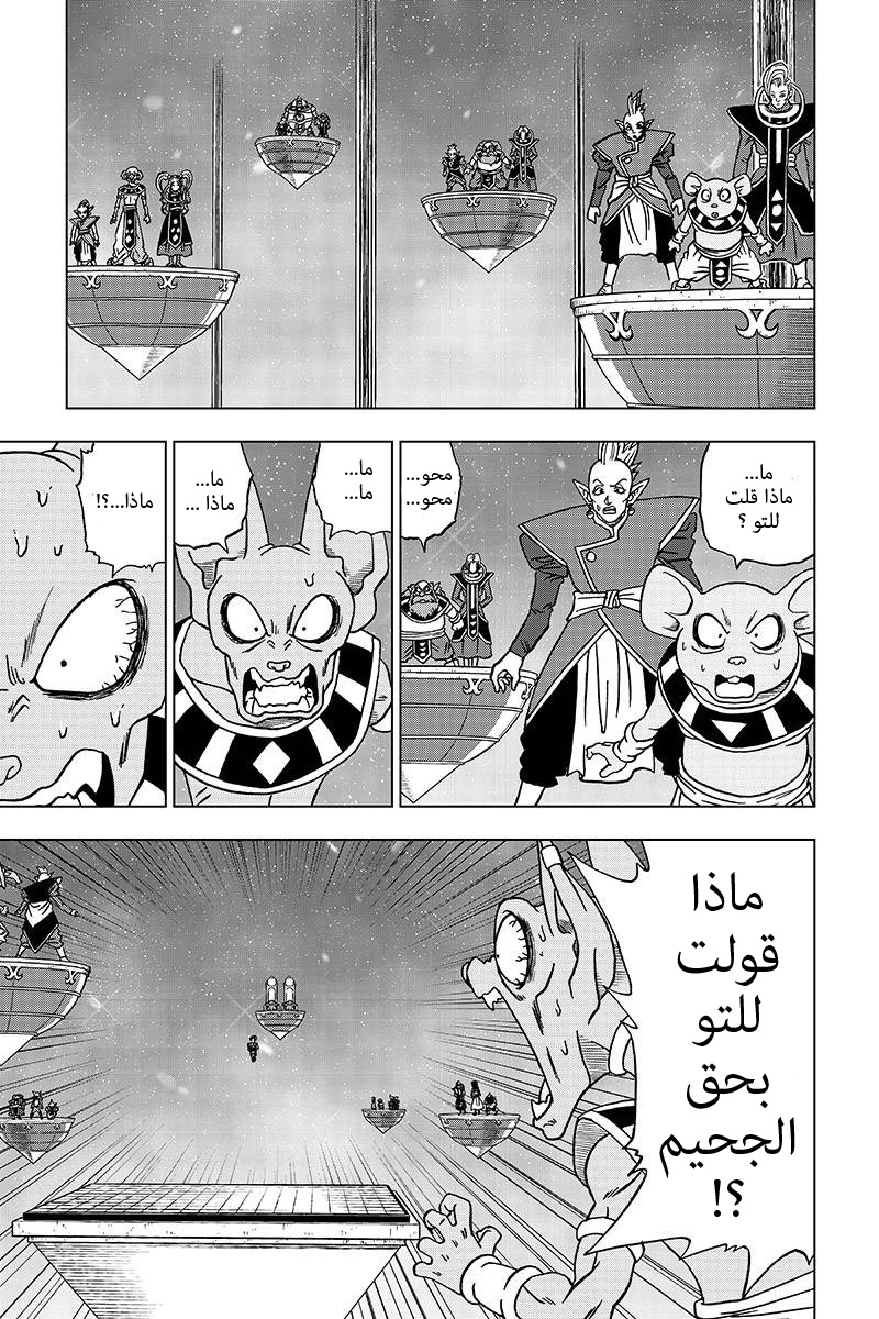 Dragon Ball Super: Chapter 30 - Page 13