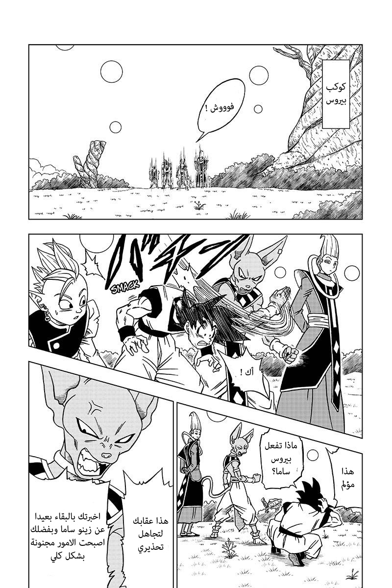 Dragon Ball Super: Chapter 30 - Page 18