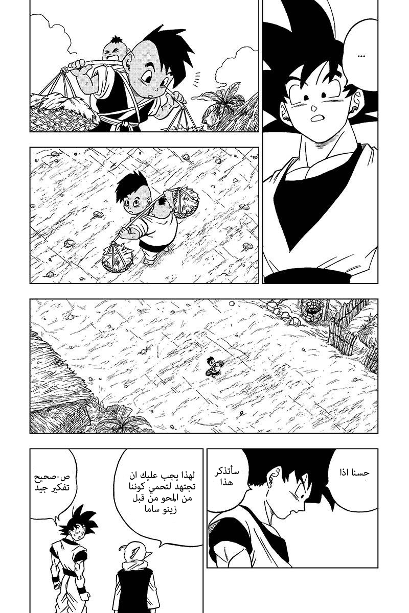 Dragon Ball Super: Chapter 31 - Page 15