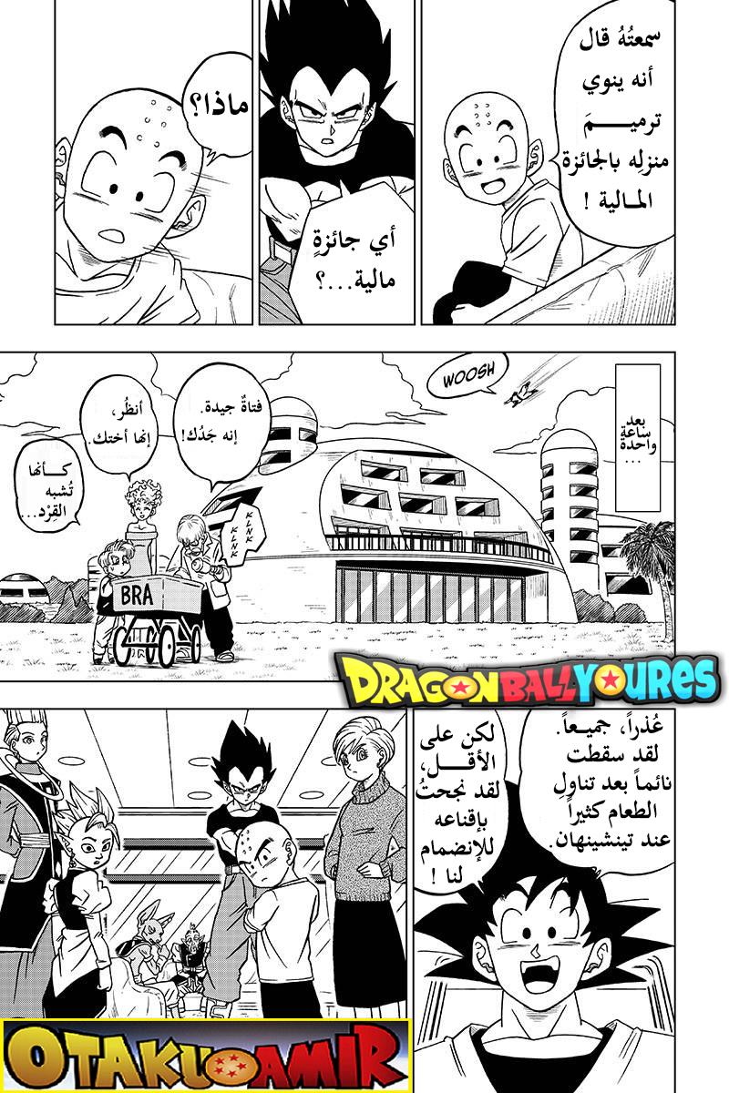 Dragon Ball Super: Chapter 32 - Page 19