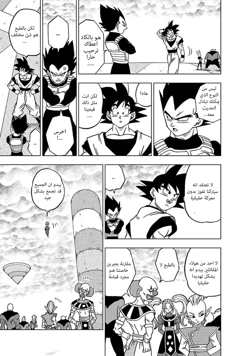 Dragon Ball Super: Chapter 33 - Page 14