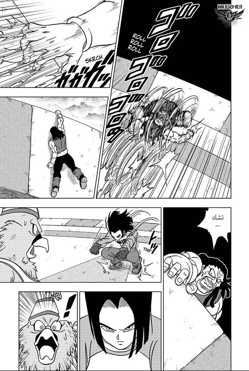 Dragon Ball Super: Chapter 33 - Page 28