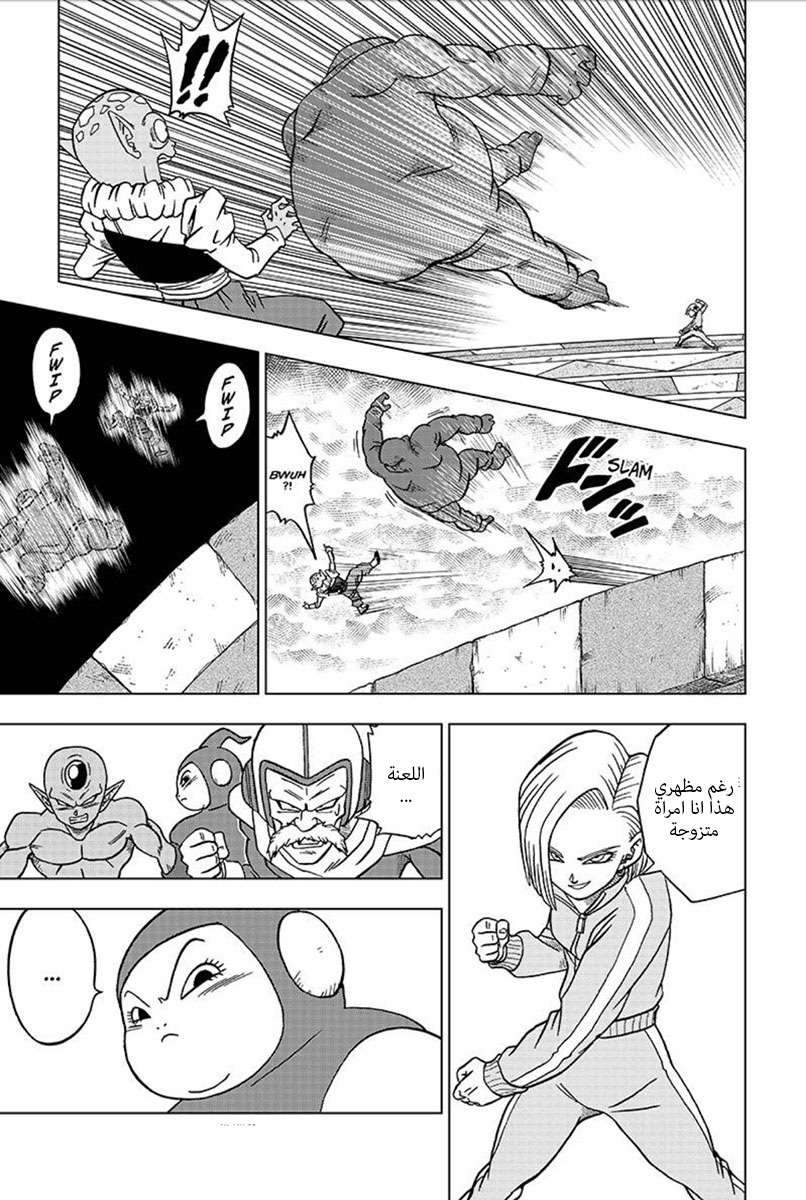 Dragon Ball Super: Chapter 33 - Page 34
