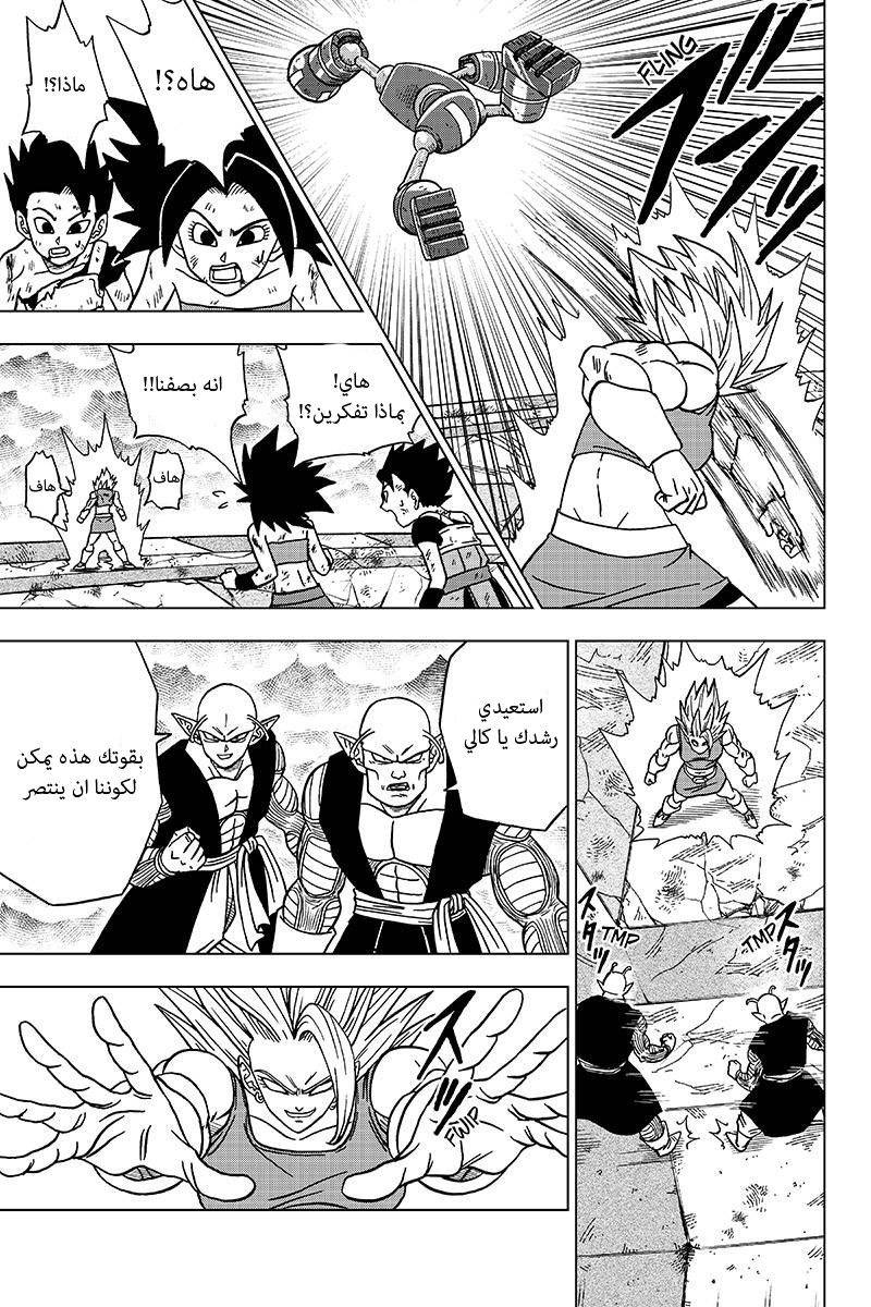 Dragon Ball Super: Chapter 38.1 - Page 19