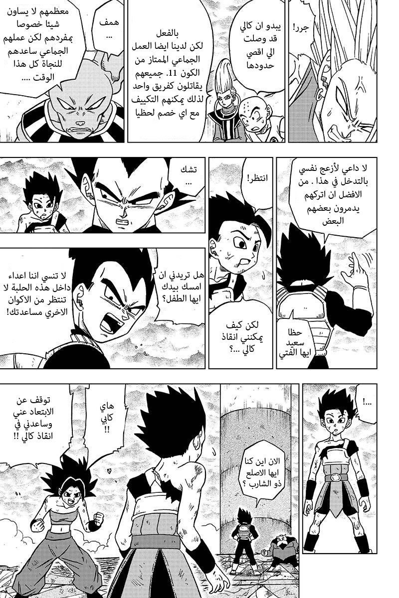 Dragon Ball Super: Chapter 38.1 - Page 27