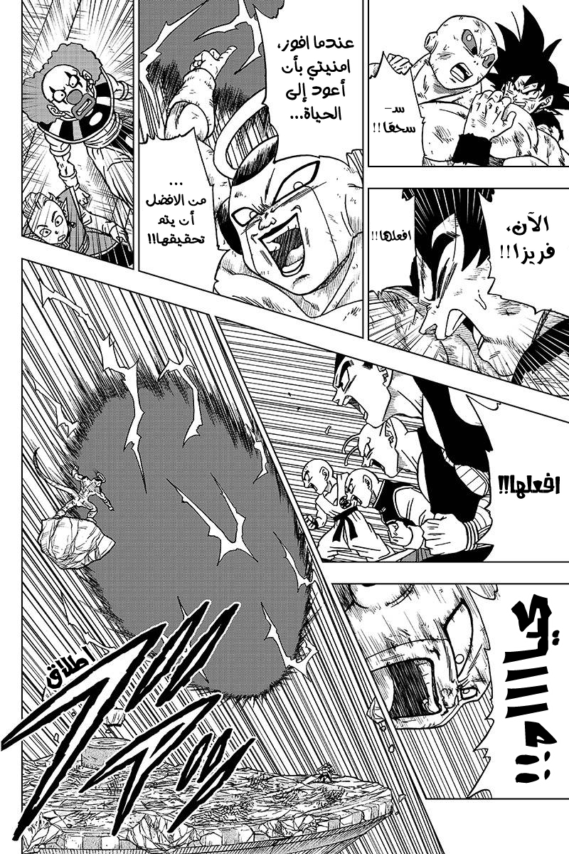 Dragon Ball Super: Chapter 42 - Page 17