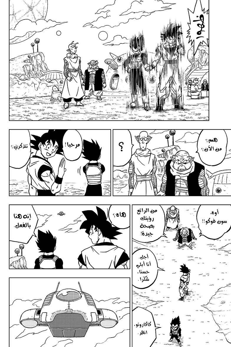 Dragon Ball Super: Chapter 44 - Page 19