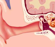 Dragon Ball Super: Chapter 44 - Page 49