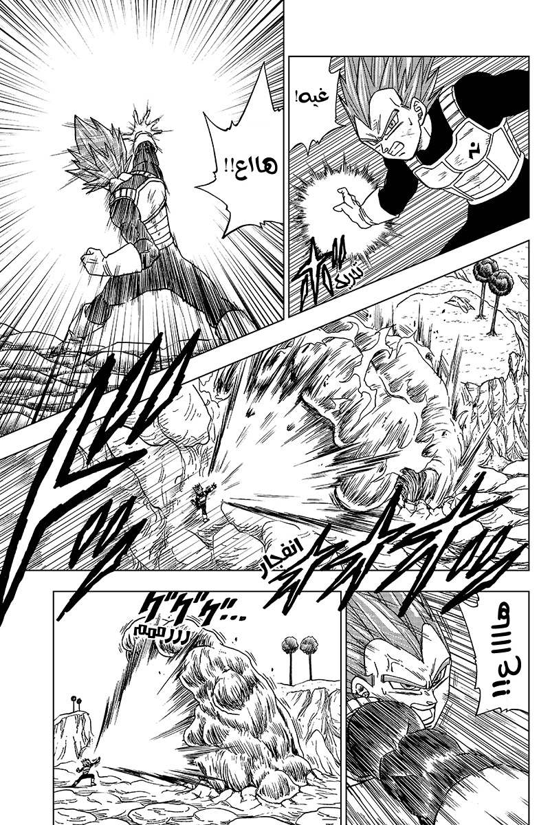 Dragon Ball Super: Chapter 45 - Page 18