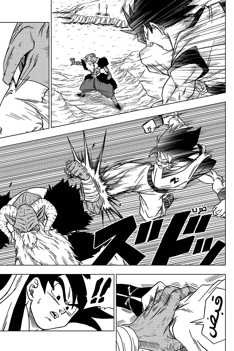 Dragon Ball Super: Chapter 46 - Page 3