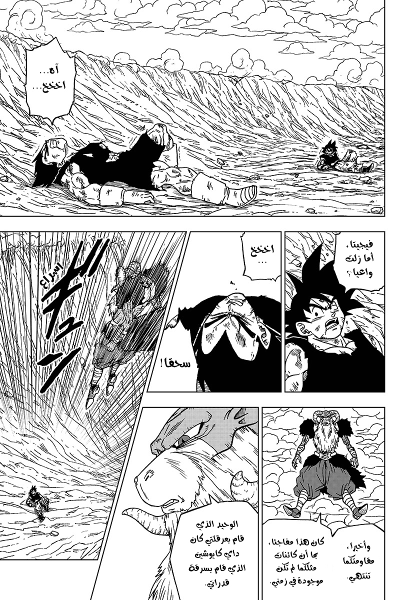 Dragon Ball Super: Chapter 46 - Page 17
