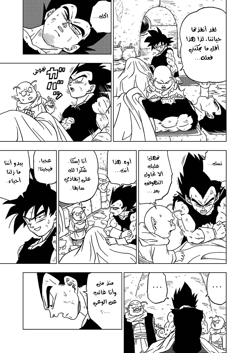 Dragon Ball Super: Chapter 46 - Page 33
