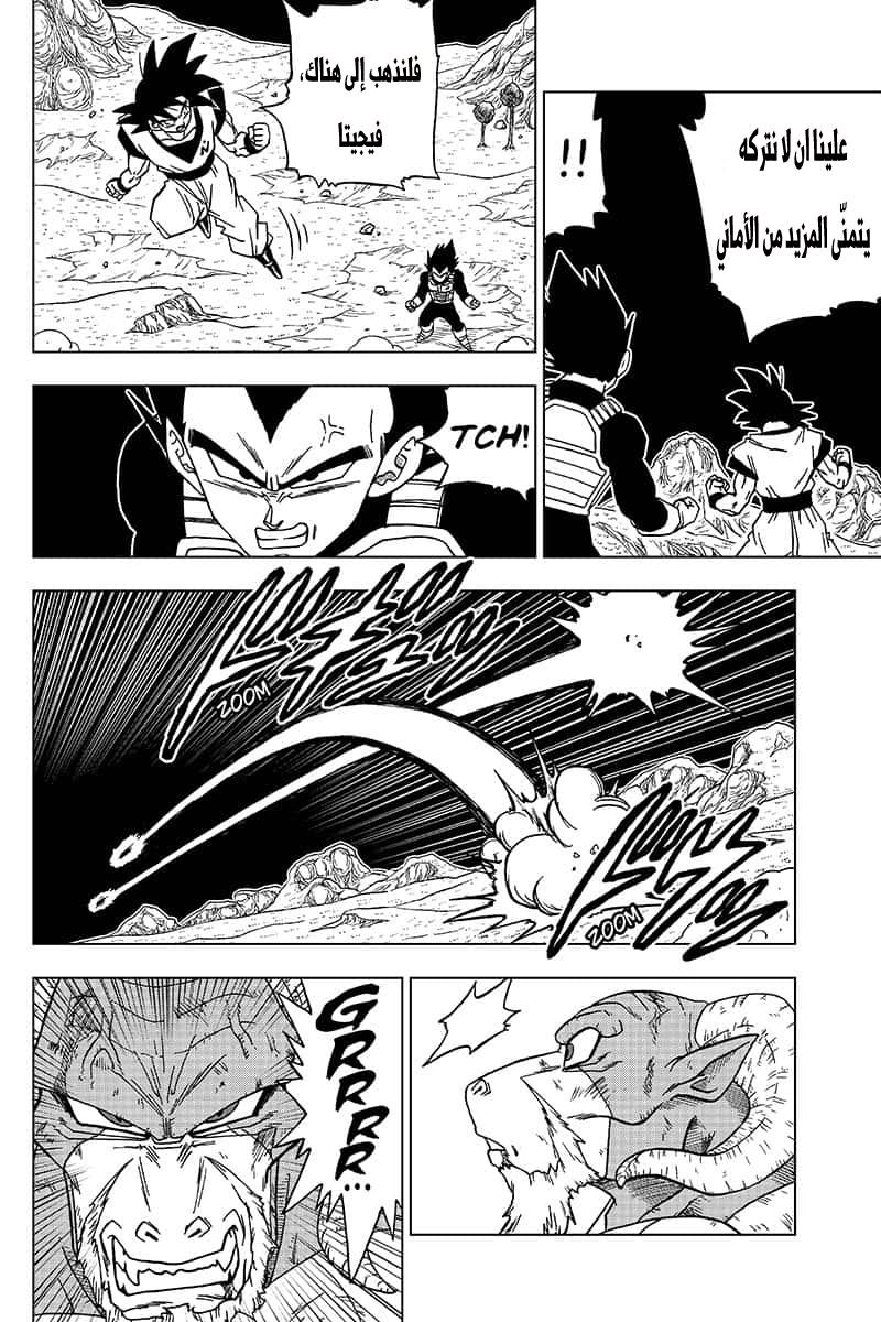 Dragon Ball Super: Chapter 48 - Page 20