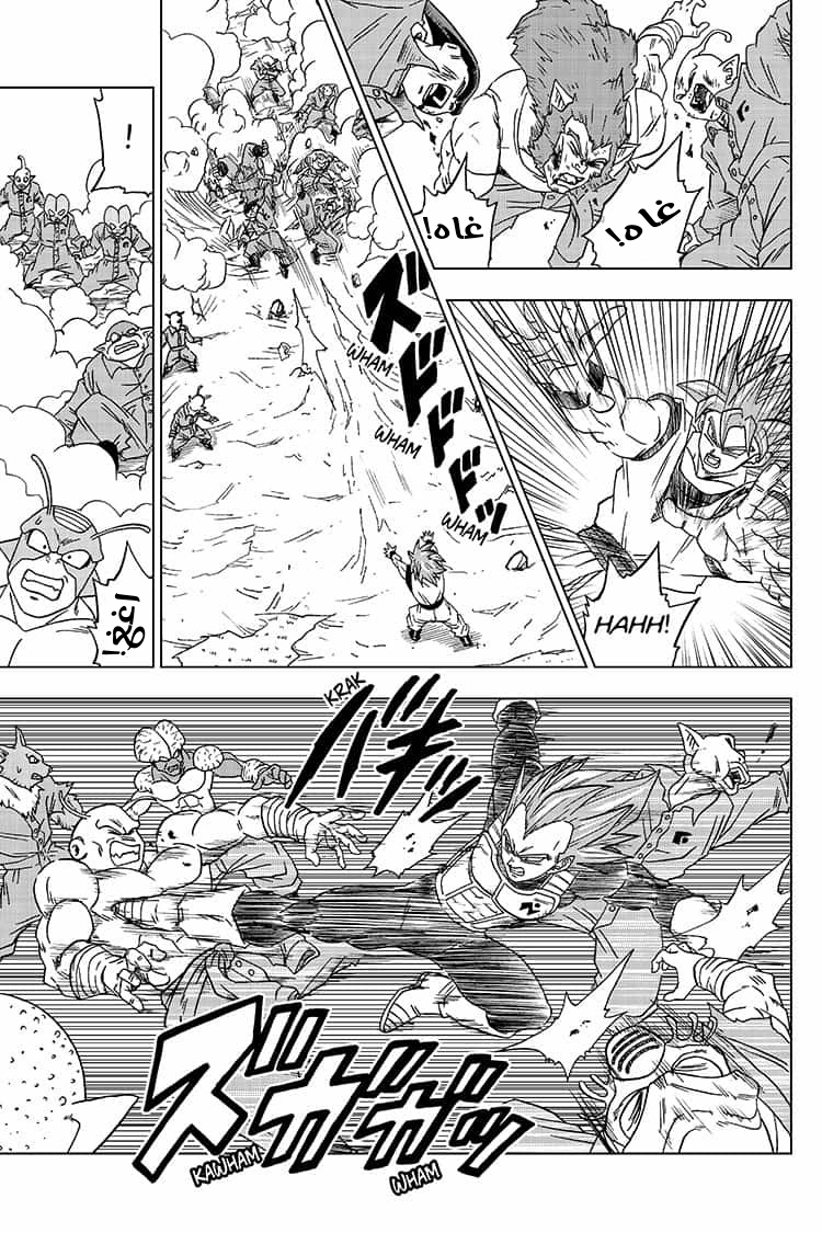 Dragon Ball Super: Chapter 50 - Page 24