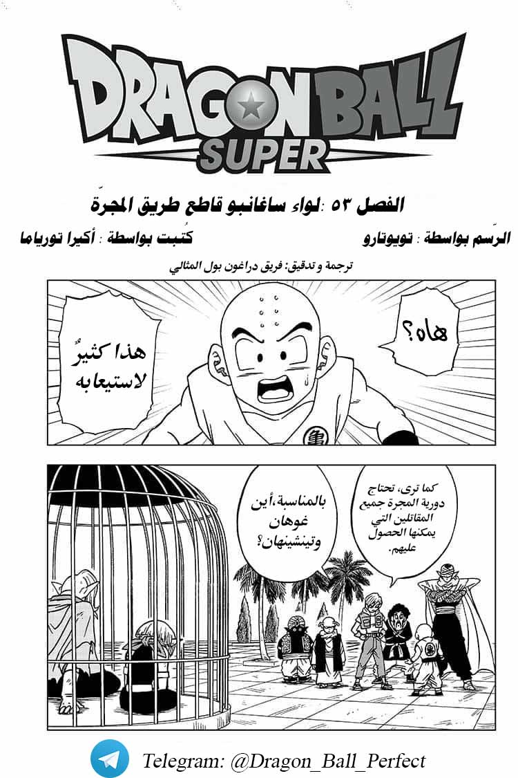 Dragon Ball Super: Chapter 53 - Page 2