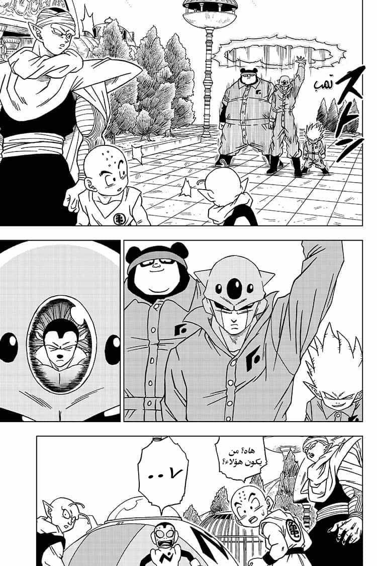 Dragon Ball Super: Chapter 53 - Page 16