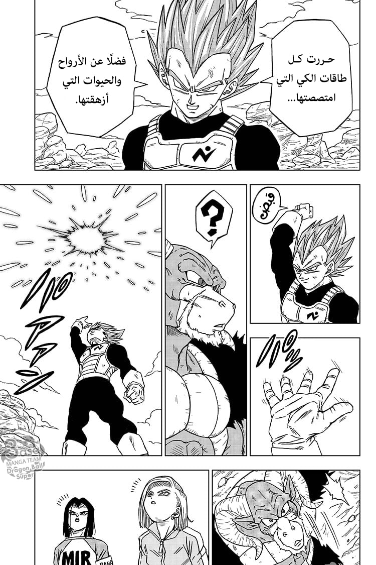 Dragon Ball Super: Chapter 61 - Page 18