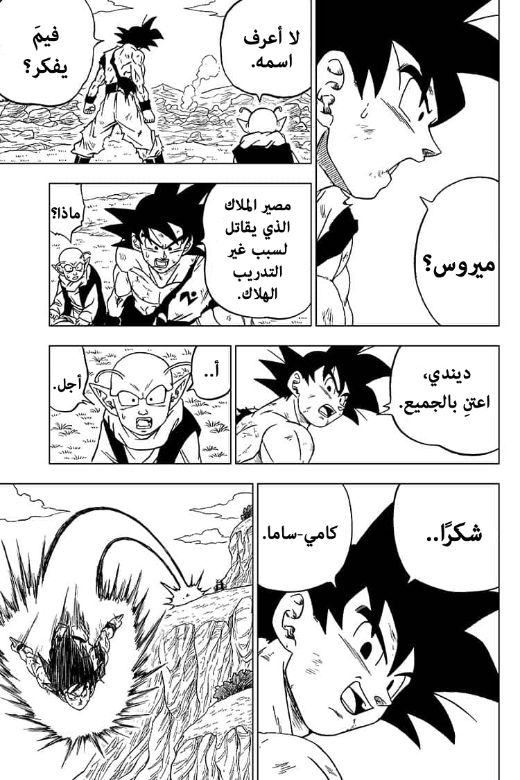 Dragon Ball Super: Chapter 63 - Page 16