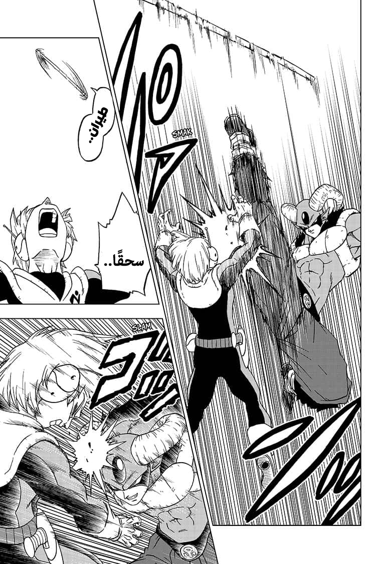 Dragon Ball Super: Chapter 63 - Page 18