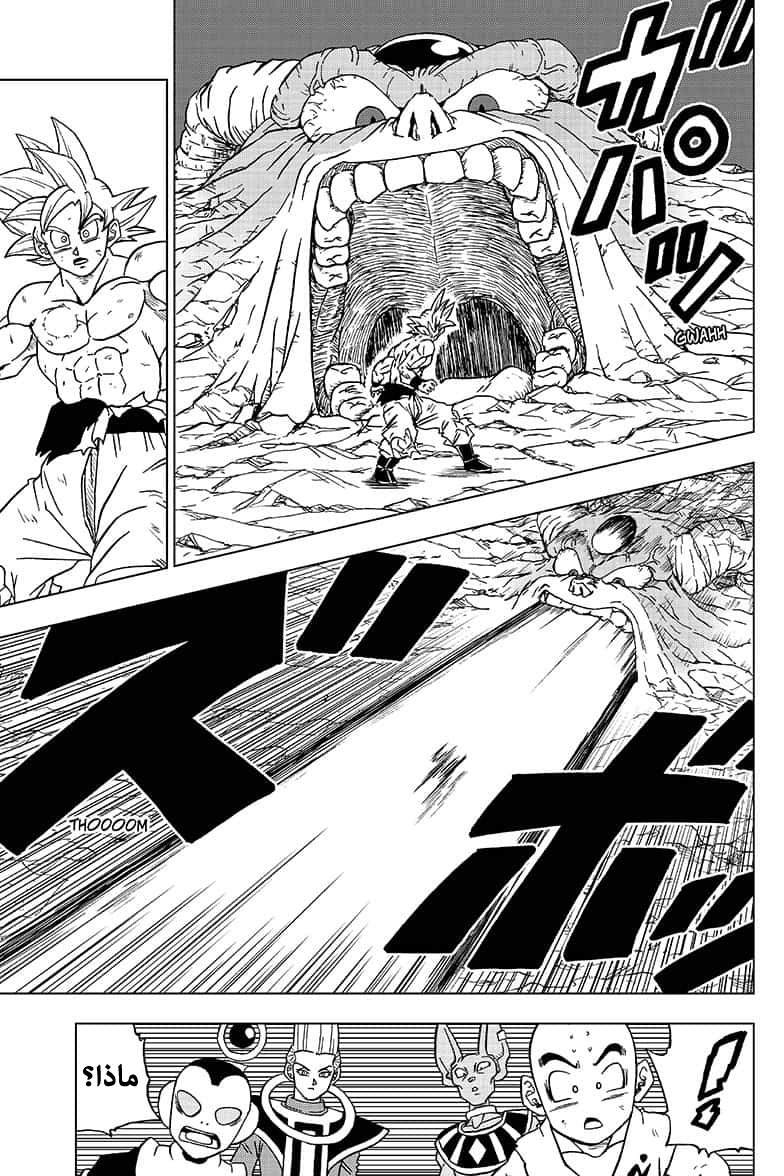 Dragon Ball Super: Chapter 65 - Page 43