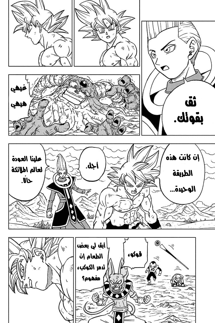 Dragon Ball Super: Chapter 66 - Page 11