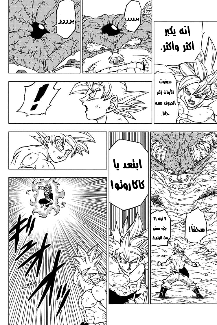 Dragon Ball Super: Chapter 66 - Page 13