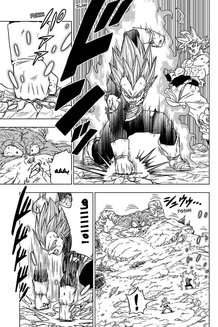 Dragon Ball Super: Chapter 66 - Page 14