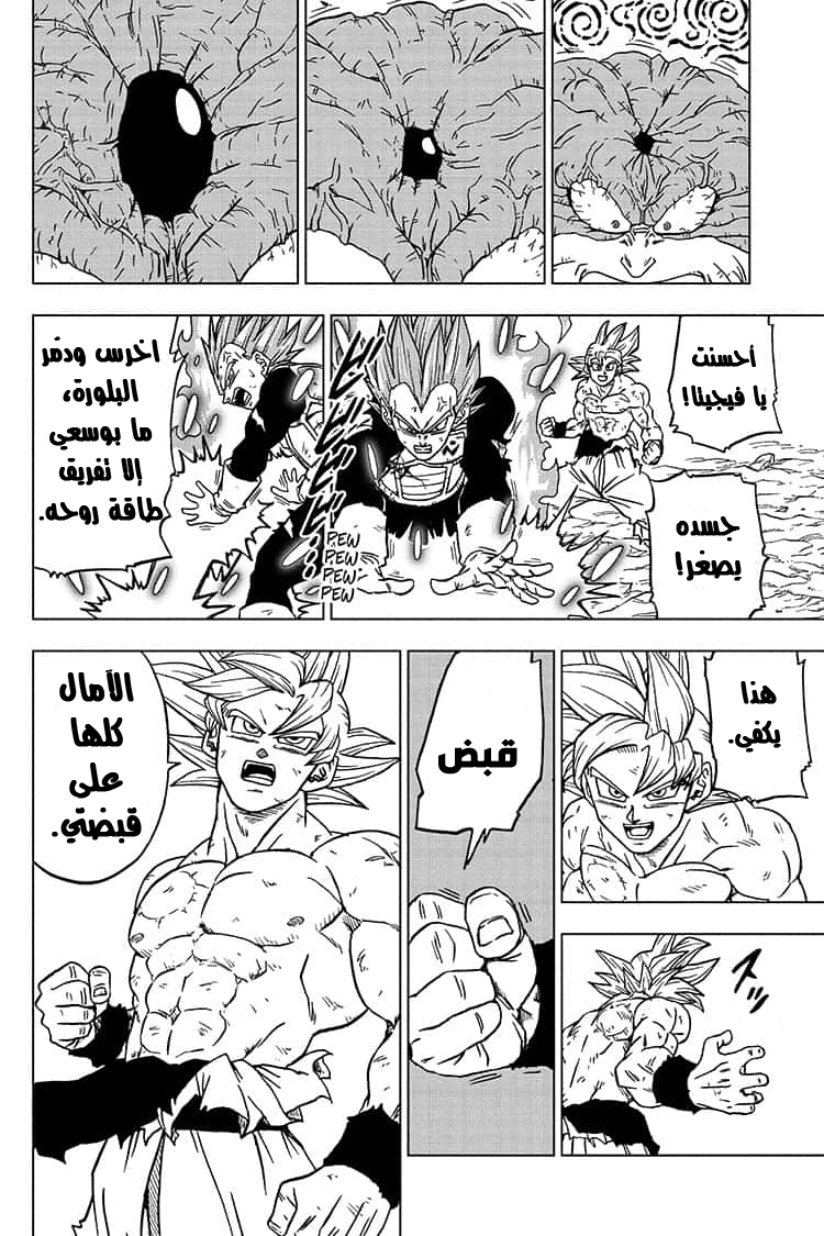 Dragon Ball Super: Chapter 66 - Page 15