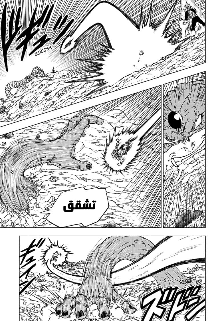 Dragon Ball Super: Chapter 66 - Page 16