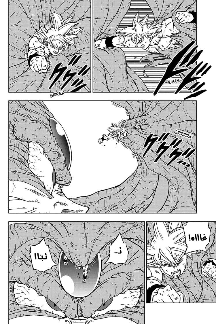 Dragon Ball Super: Chapter 66 - Page 19