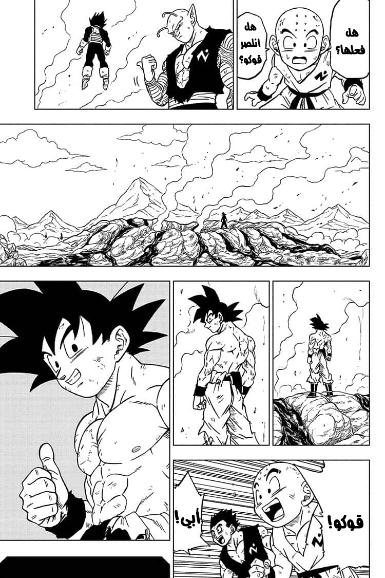 Dragon Ball Super: Chapter 66 - Page 45
