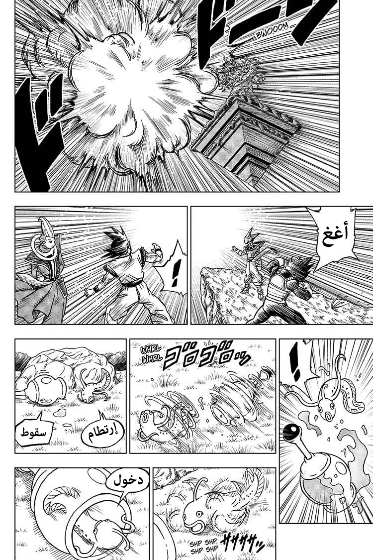 Dragon Ball Super: Chapter 69 - Page 13