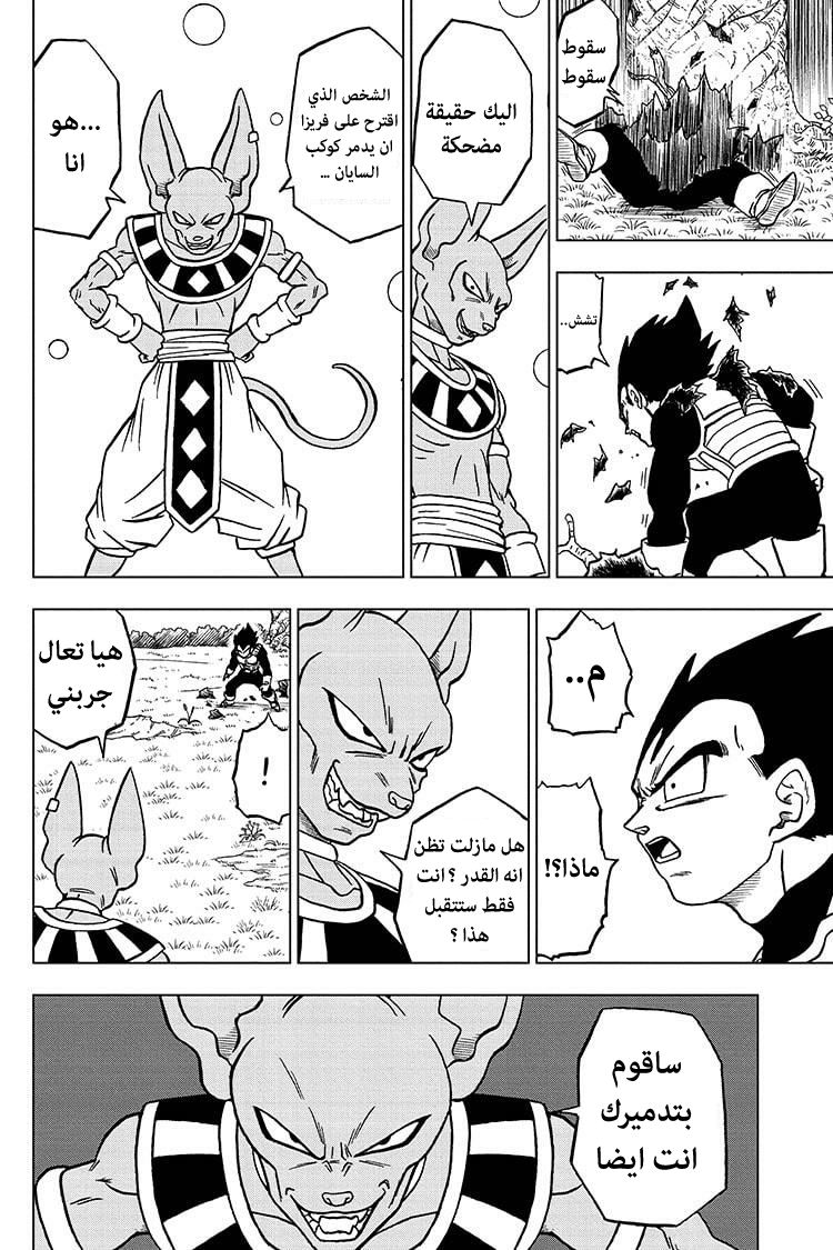 Dragon Ball Super: Chapter 69 - Page 17