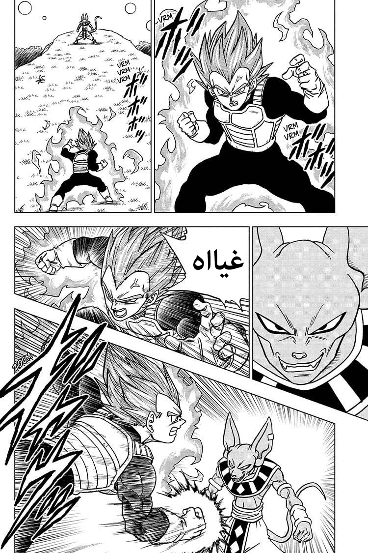 Dragon Ball Super: Chapter 69 - Page 19