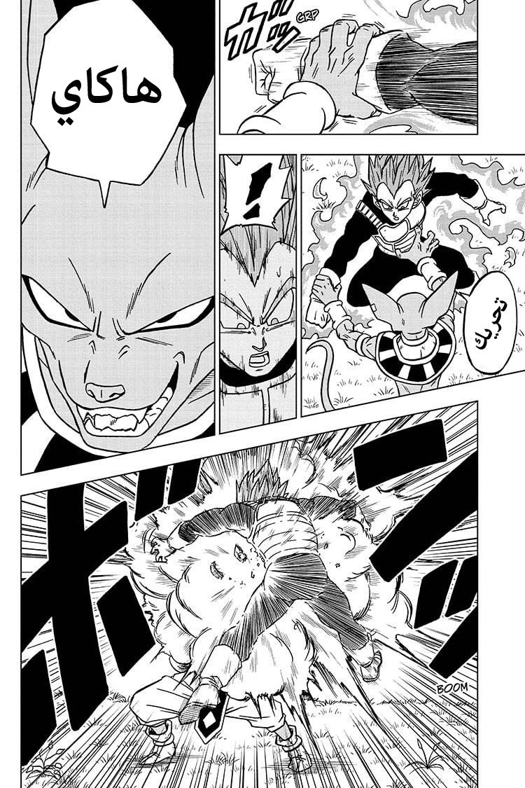 Dragon Ball Super: Chapter 69 - Page 25