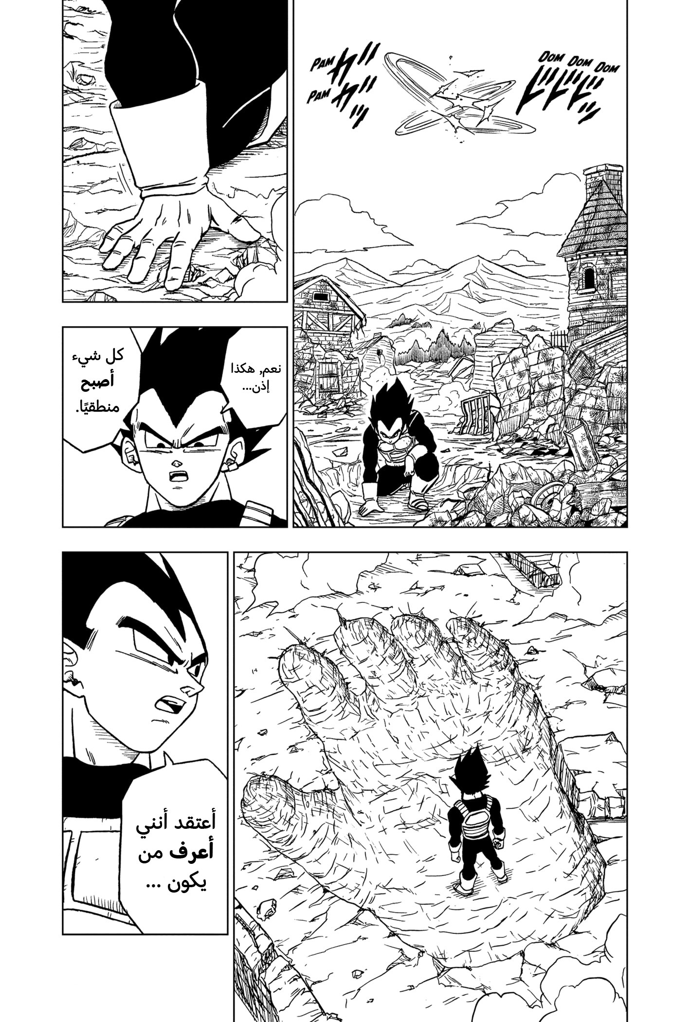 Dragon Ball Super: Chapter 72 - Page 47