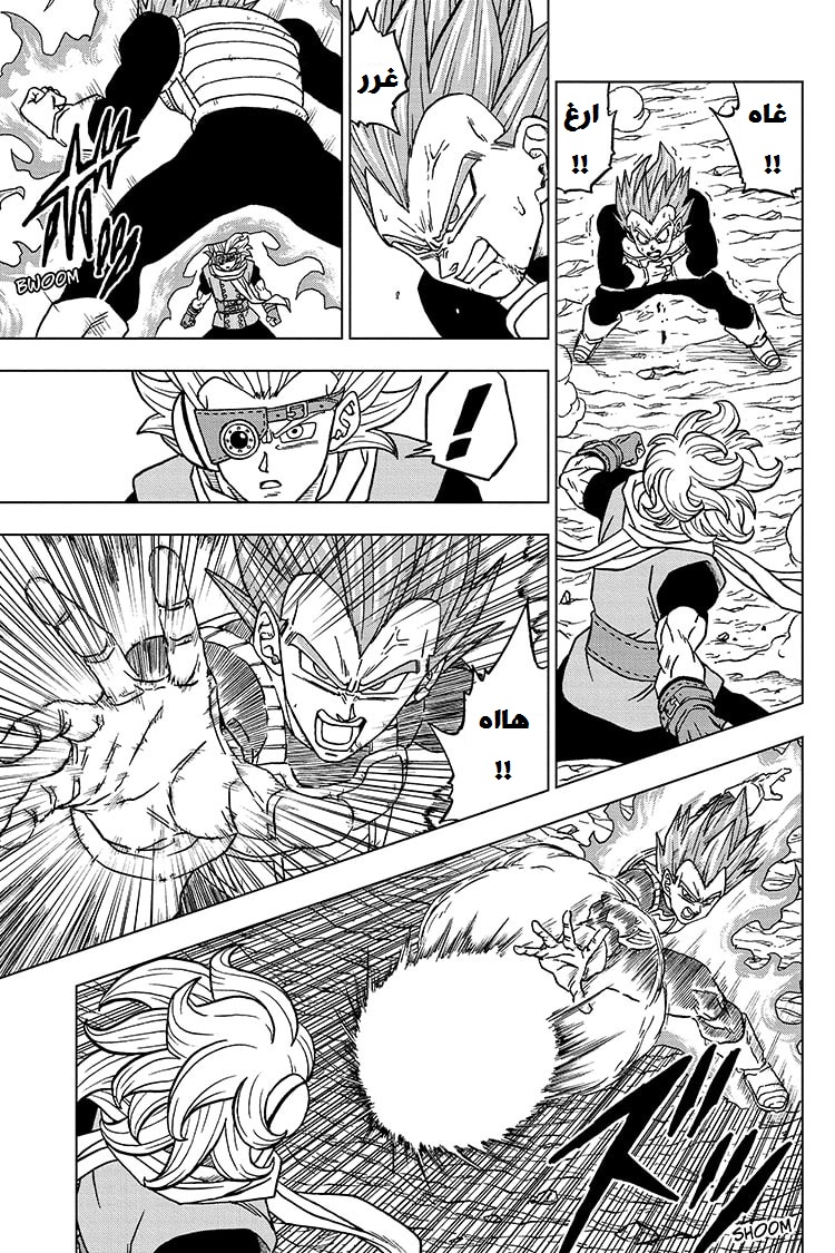 Dragon Ball Super: Chapter 74 - Page 11