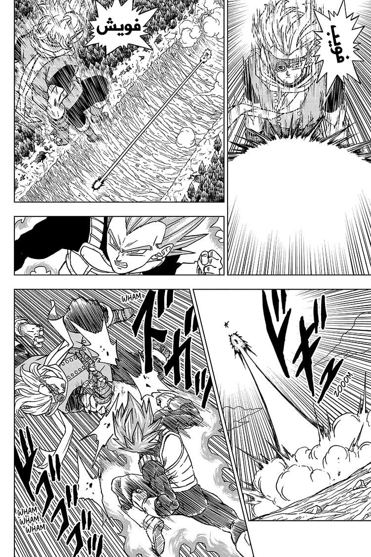 Dragon Ball Super: Chapter 74 - Page 12