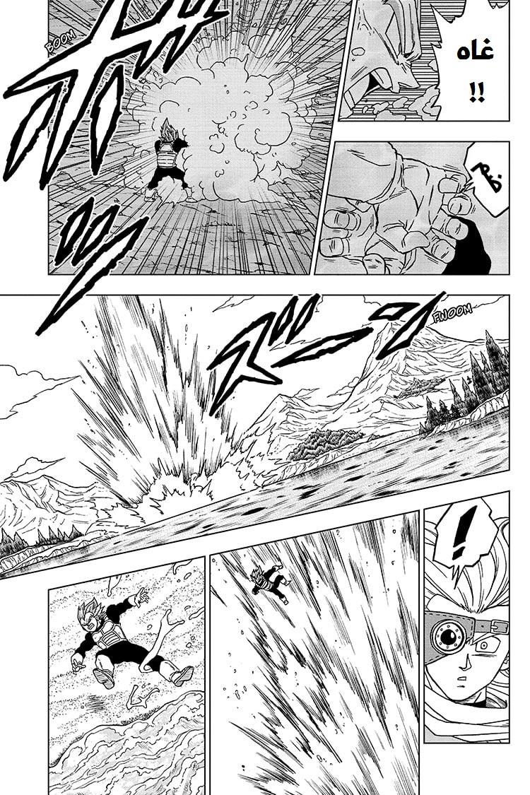Dragon Ball Super: Chapter 74 - Page 23