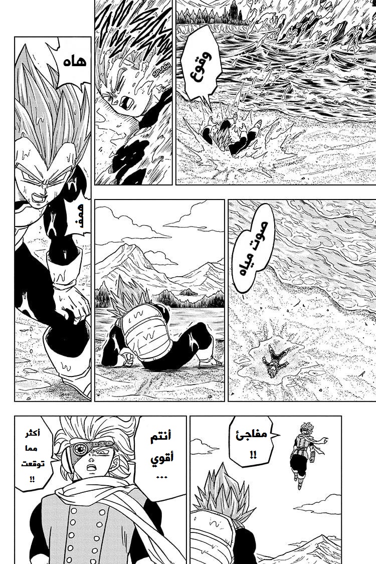 Dragon Ball Super: Chapter 74 - Page 24