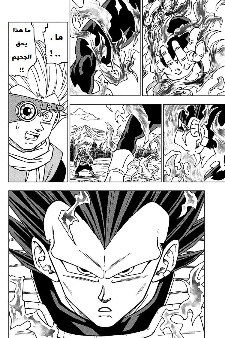 Dragon Ball Super: Chapter 74 - Page 44