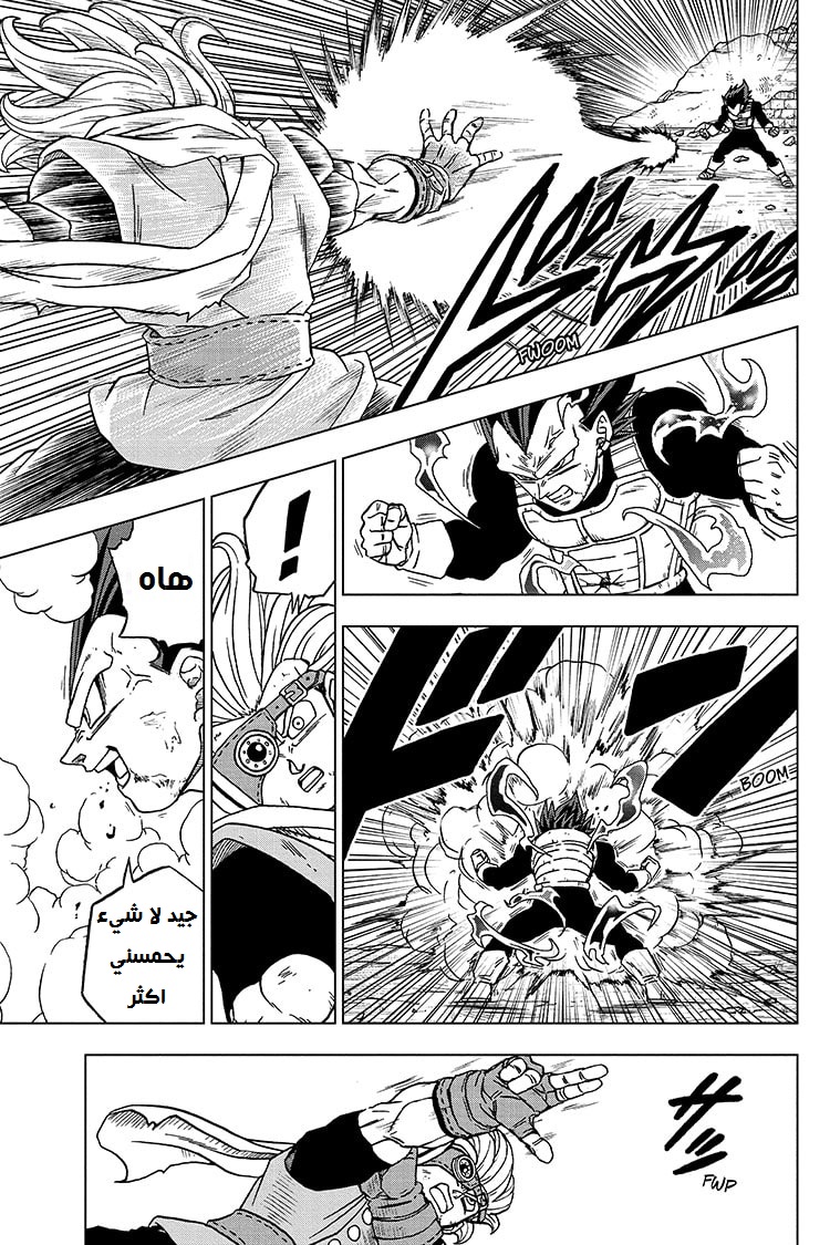 Dragon Ball Super: Chapter 75 - Page 13
