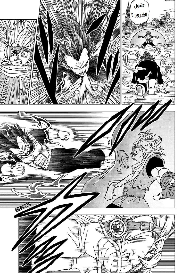 Dragon Ball Super: Chapter 75 - Page 17