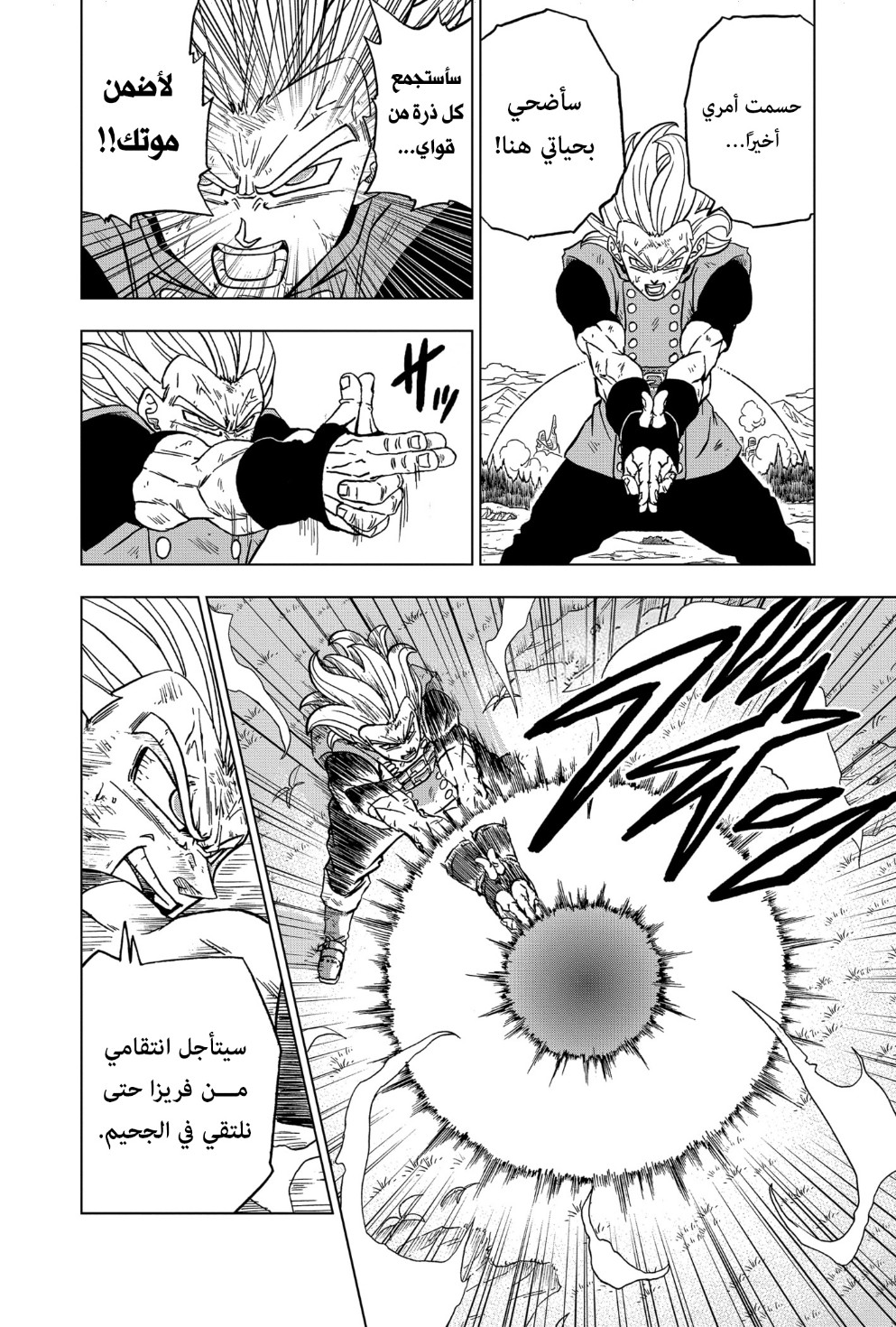 Dragon Ball Super: Chapter 76 - Page 37