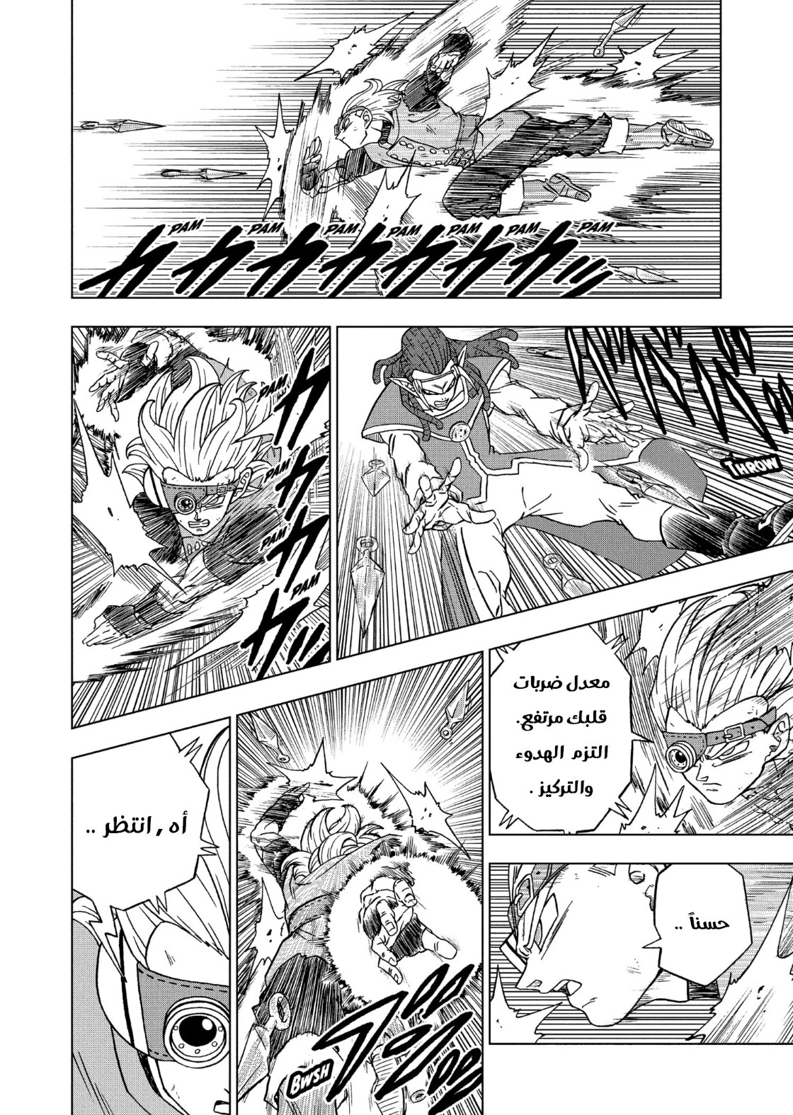 Dragon Ball Super: Chapter 79 - Page 17