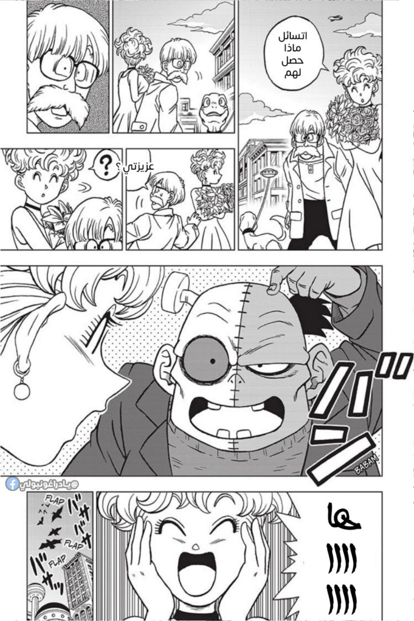 Dragon Ball Super: Chapter 88 - Page 17